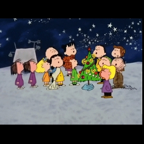 Peanuts Charlie Brown Kneeling With Tree Hallmark Ornament - Picture 14 of 16